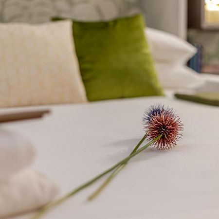 Green Terrace Loft Colosseum Рим Екстериор снимка